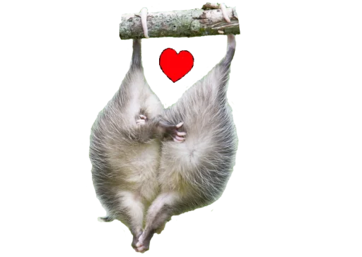 ❤️ Стикер «Possum style» для Telegram