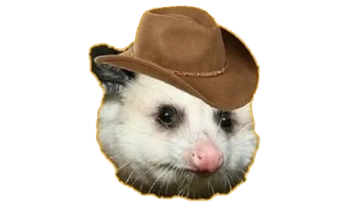 🤠 Стикер «Possum style» для Telegram