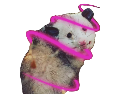 🧙‍♂️ Стикер «Possum style» для Telegram