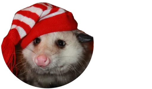 💂‍♀️ Стикер «Possum style» для Telegram