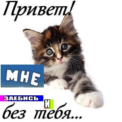 👋 Стикер «уебанские открытки» для Telegram