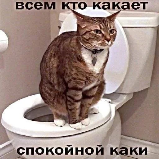 💩 Стикер «уебанские открытки» для Telegram
