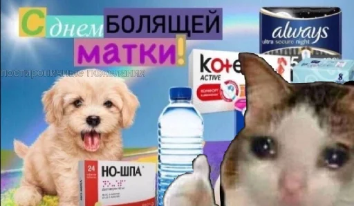 🩸 Стикер «уебанские открытки» для Telegram