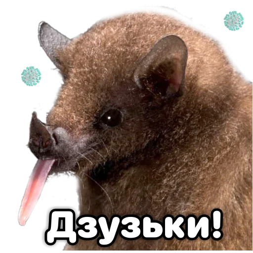 🖕 Стикер «Поторочений кажан» для Telegram