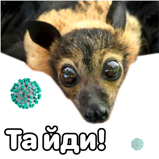 🧐 Стикер «Поторочений кажан» для Telegram