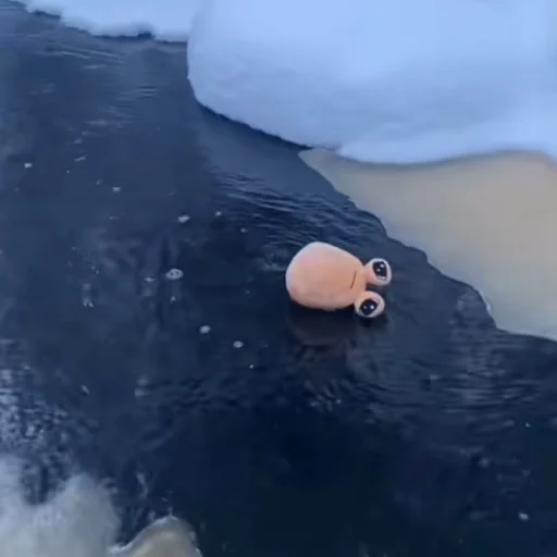 ☹️ Стикер «Pou Plush» для Telegram