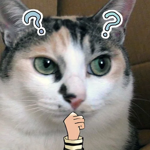 🤔 Стикер «Нищета и упадок» для Telegram