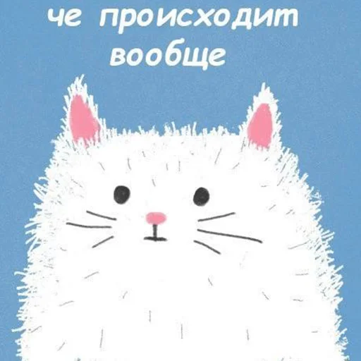 😲 Стикер «Нищета и упадок» для Telegram