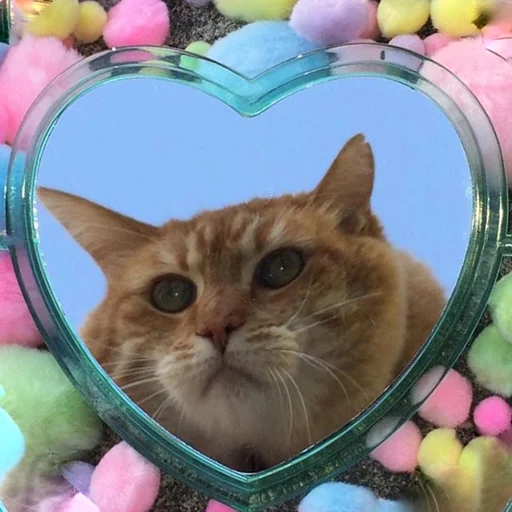 😾 Стикер «Нищета и упадок» для Telegram