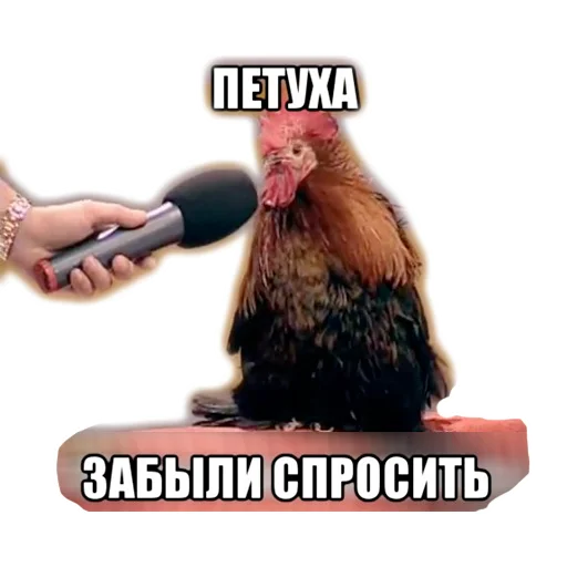 🎤 Стикер «Нищета и упадок» для Telegram