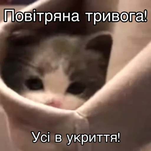 😫 Стикер «Повітряна тривога» для Telegram