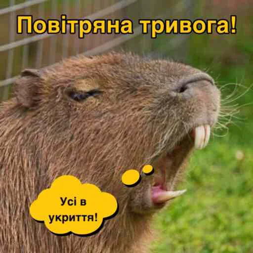 😩 Стикер «Повітряна тривога» для Telegram
