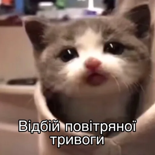 🥰 Стикер «Повітряна тривога» для Telegram