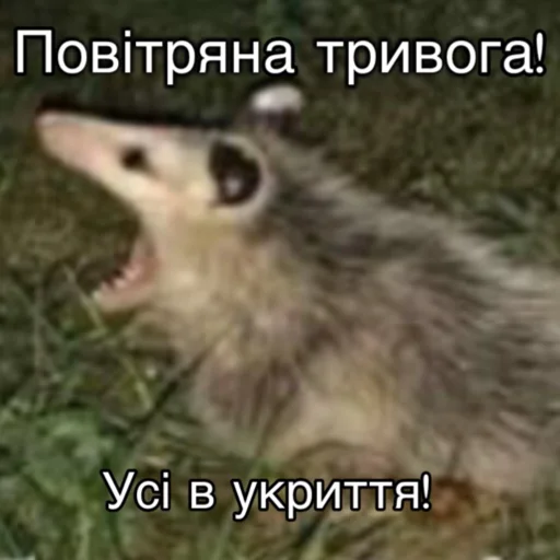 😫 Стикер «Повітряна тривога» для Telegram