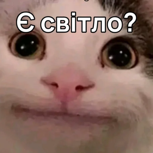 ❔ Стикер «Повітряна тривога» для Telegram
