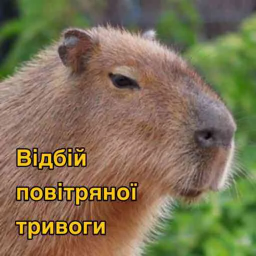 😌 Стикер «Повітряна тривога» для Telegram