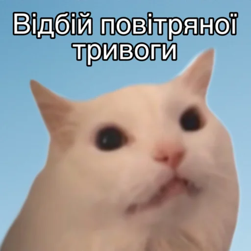 🥰 Стикер «Повітряна тривога» для Telegram