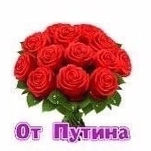 🌹 Стикер «aliskaspiskoy» для Telegram