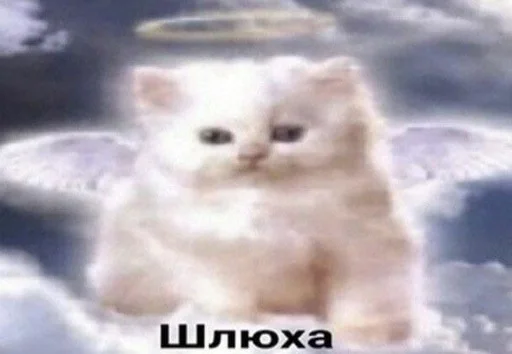 😇 Стикер «aliskaspiskoy» для Telegram