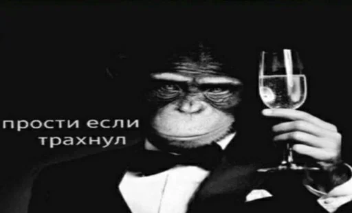 🥺 Стикер «aliskaspiskoy» для Telegram