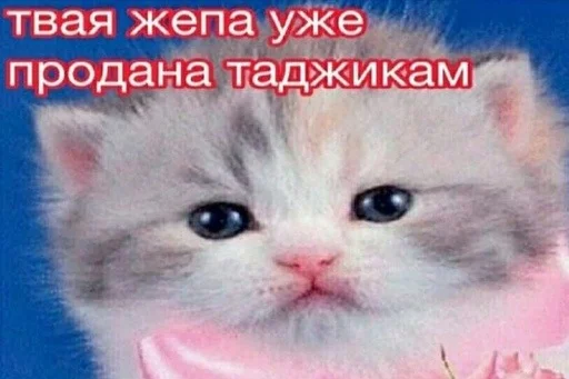 😊 Стикер «aliskaspiskoy» для Telegram