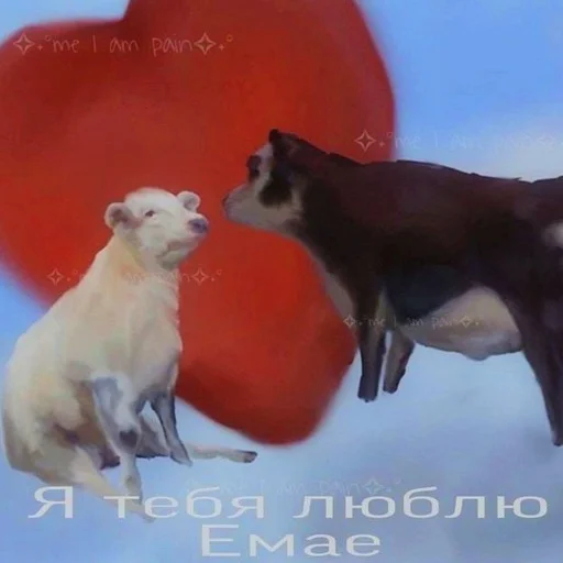 ❤️ Стикер «aliskaspiskoy» для Telegram