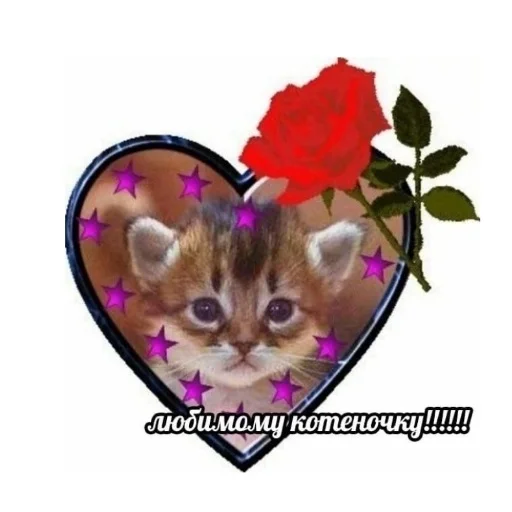 😼 Стикер «aliskaspiskoy» для Telegram