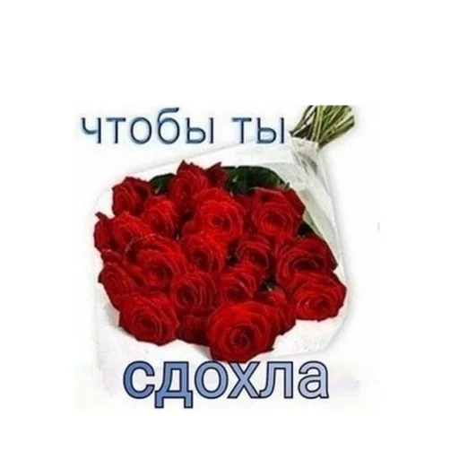 😁 Стикер «aliskaspiskoy» для Telegram