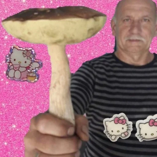 🍄 Стикер «aliskaspiskoy» для Telegram