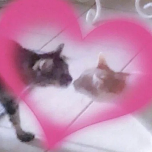 💞 Стикер «aliskaspiskoy» для Telegram