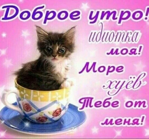 🥺 Стикер «aliskaspiskoy» для Telegram