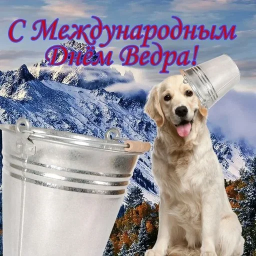 😞 Стикер «Поздравляю с Днём» для Telegram