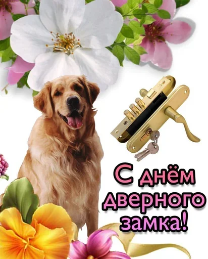 😫 Стикер «Поздравляю с Днём» для Telegram