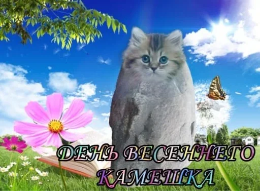 🤫 Стикер «Поздравляю с Днём» для Telegram