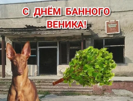🧐 Стикер «Поздравляю с Днём» для Telegram