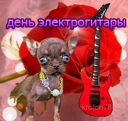 🤗 Стикер «Поздравляю с Днём» для Telegram