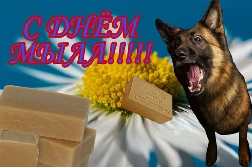 🤗 Стикер «Поздравляю с Днём» для Telegram