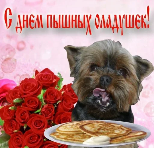 😬 Стикер «Поздравляю с Днём» для Telegram