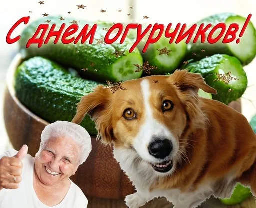 🤔 Стикер «Поздравляю с Днём» для Telegram