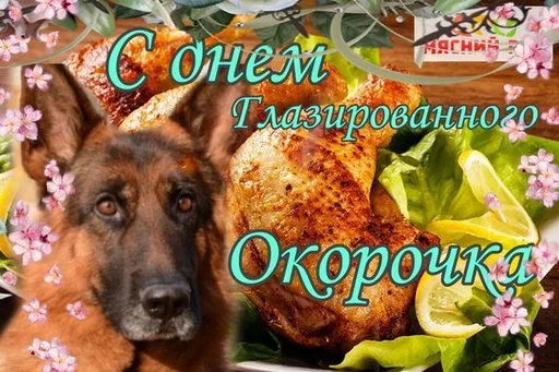 😋 Стикер «Поздравляю с Днём» для Telegram