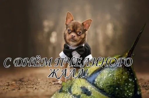 ☺️ Стикер «Поздравляю с Днём» для Telegram