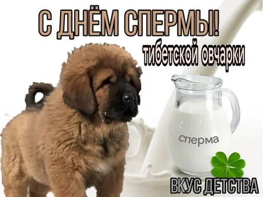 😐 Стикер «Поздравляю с Днём» для Telegram