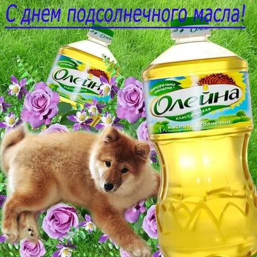 😋 Стикер «Поздравляю с Днём» для Telegram