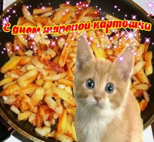 😛 Стикер «Поздравляю с Днём» для Telegram