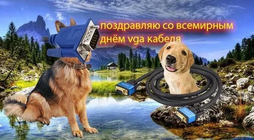 😂 Стикер «Поздравляю с Днём» для Telegram