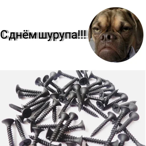 😒 Стикер «Поздравляю с Днём» для Telegram