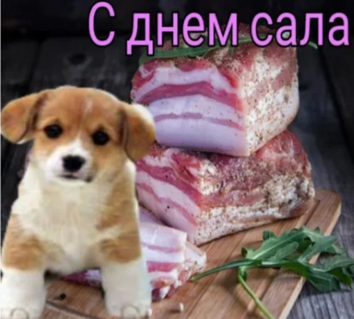 😍 Стикер «Поздравляю с Днём» для Telegram