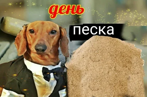 😉 Стикер «Поздравляю с Днём» для Telegram