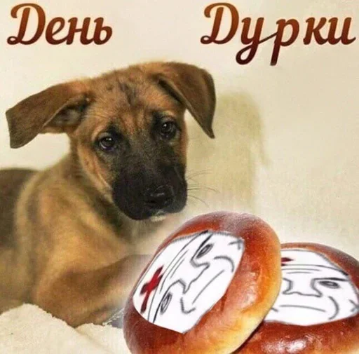 🤪 Стикер «Поздравляю с Днём» для Telegram