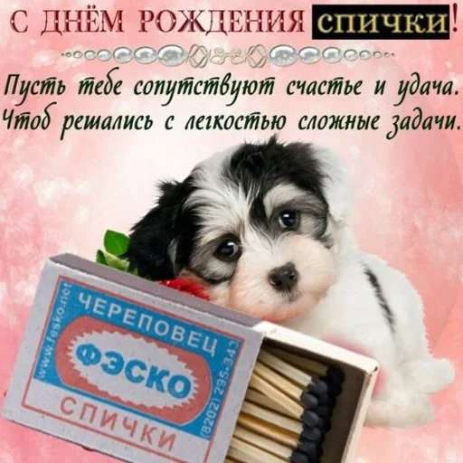 😅 Стикер «Поздравляю с Днём» для Telegram